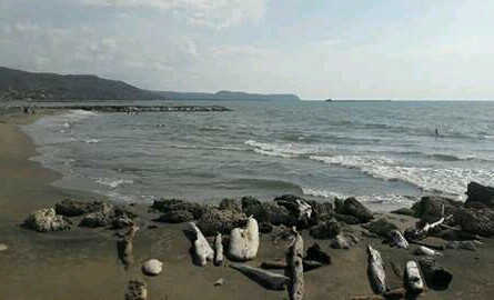 Playas de Puerto Colombia Miramar